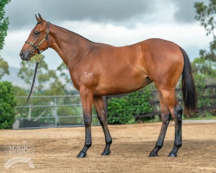 Hinchinbrook/Elwaaryaa (GB) '17 Hinchinbrook/Elwaaryaa (GB) '17