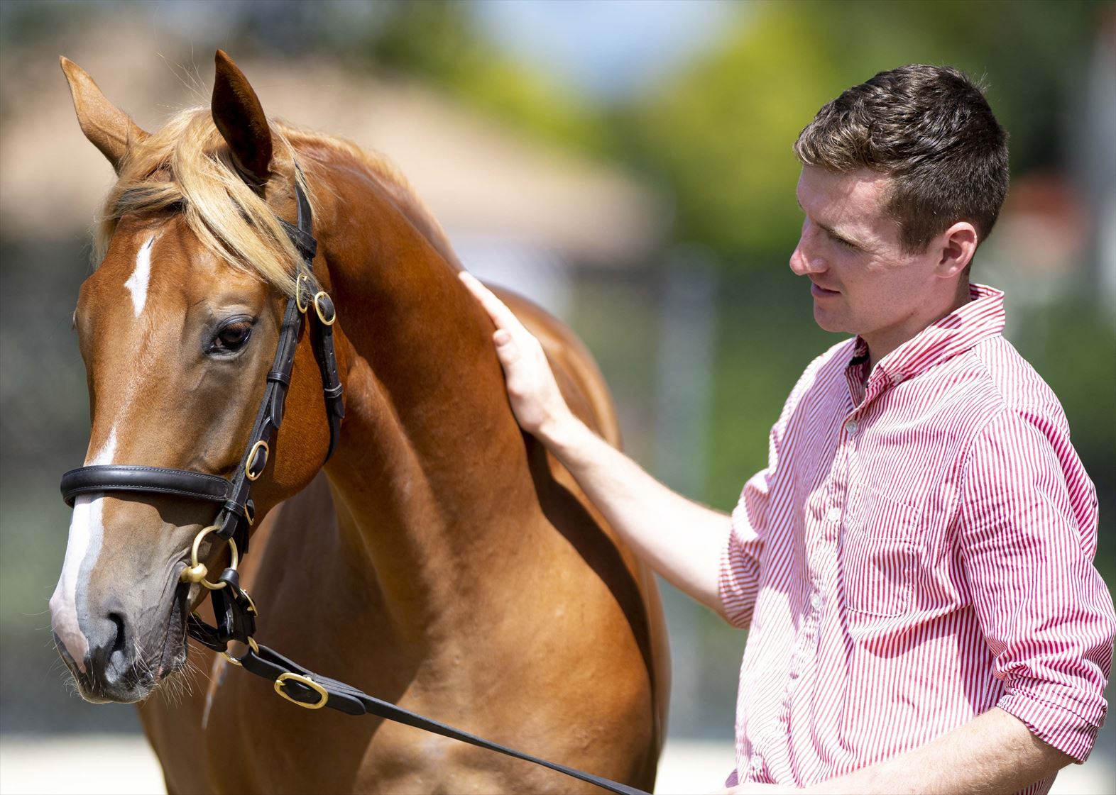 Snitzel/Bourgogne '17 Snitzel/Bourgogne '17