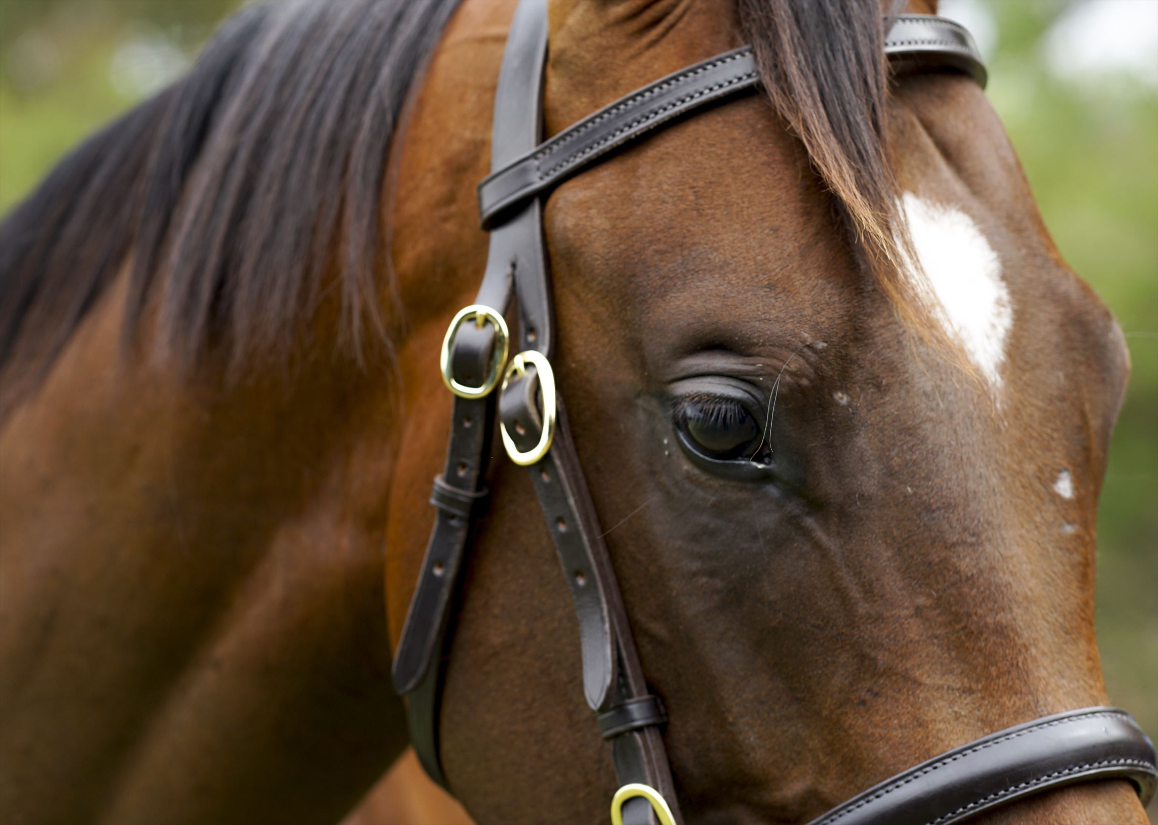 I Am Invincible/Recurring Dream (NZ) '17 I Am Invincible/Recurring Dream (NZ) '17