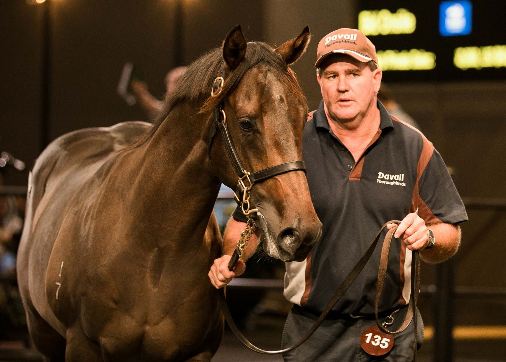 Pierro/Montana Sunset '17 Pierro/Montana Sunset '17