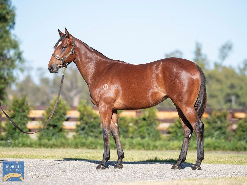 Snitzel/Gregers '19 Snitzel/Gregers '19
