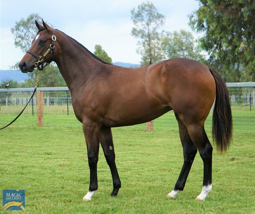 Russian Revolution/Miss Appleton (NZ) '19 Russian Revolution/Miss Appleton (NZ) '19