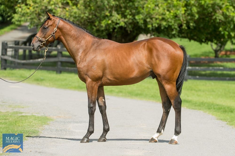 Pierro/Princess Mia '19 Pierro/Princess Mia '19