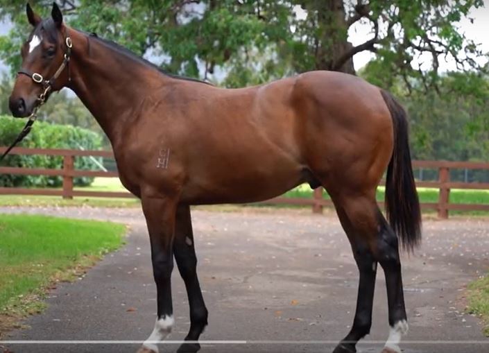Snitzel/No Evidence Needed '19 Snitzel/No Evidence Needed '19