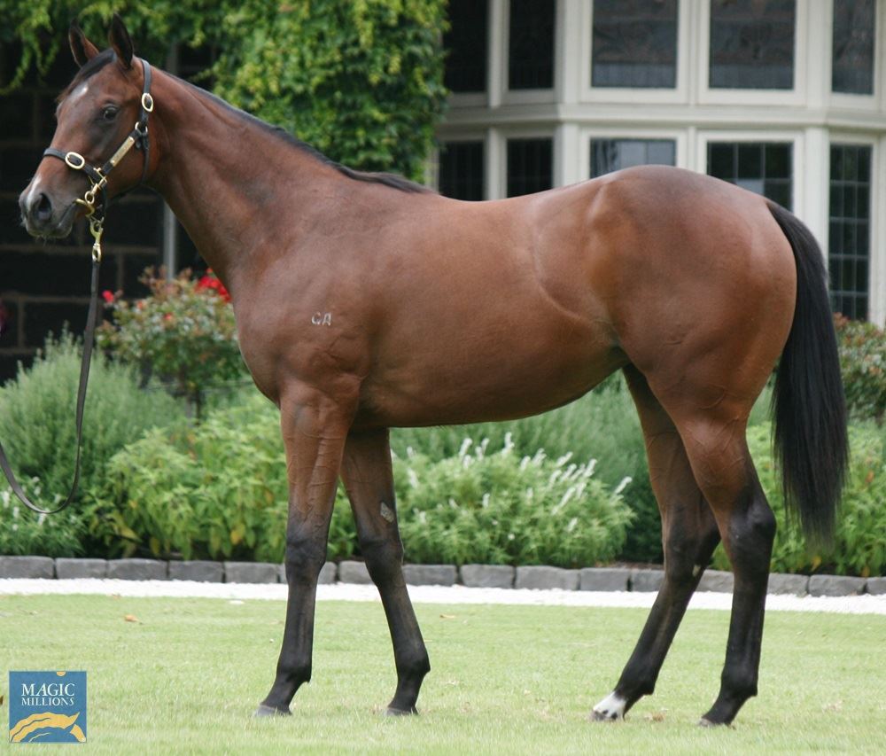 Zoustar/Sheila's Star '19 Zoustar/Sheila's Star '19