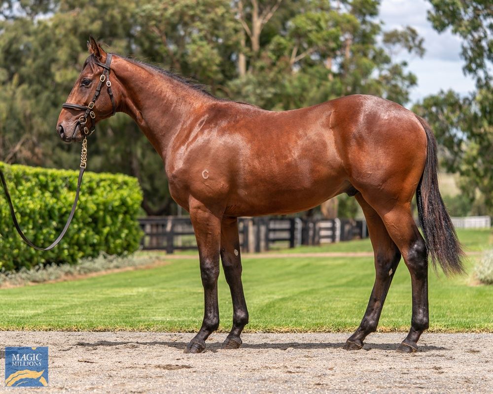 Pierro/Starfish '19 Pierro/Starfish '19