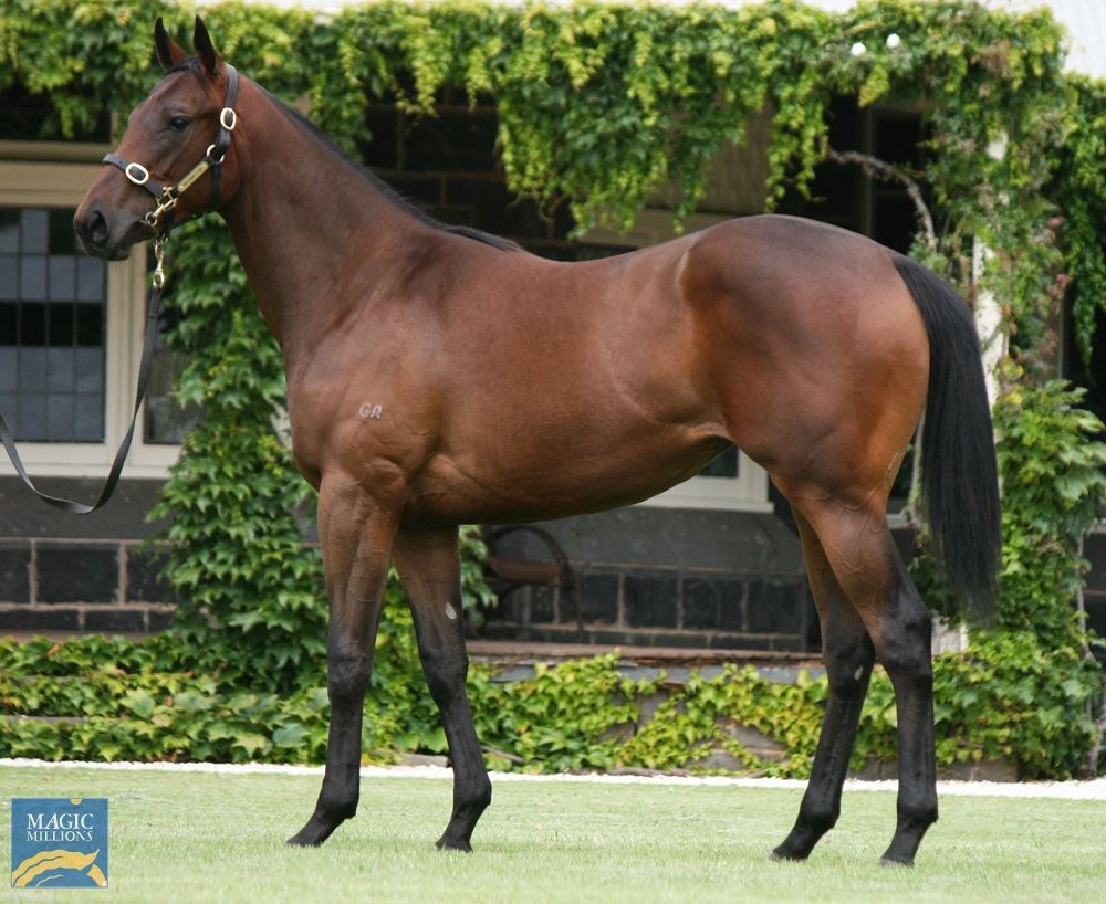 Spirit Of Boom/Sugar Babe (NZ) '19 Spirit Of Boom/Sugar Babe (NZ) '19
