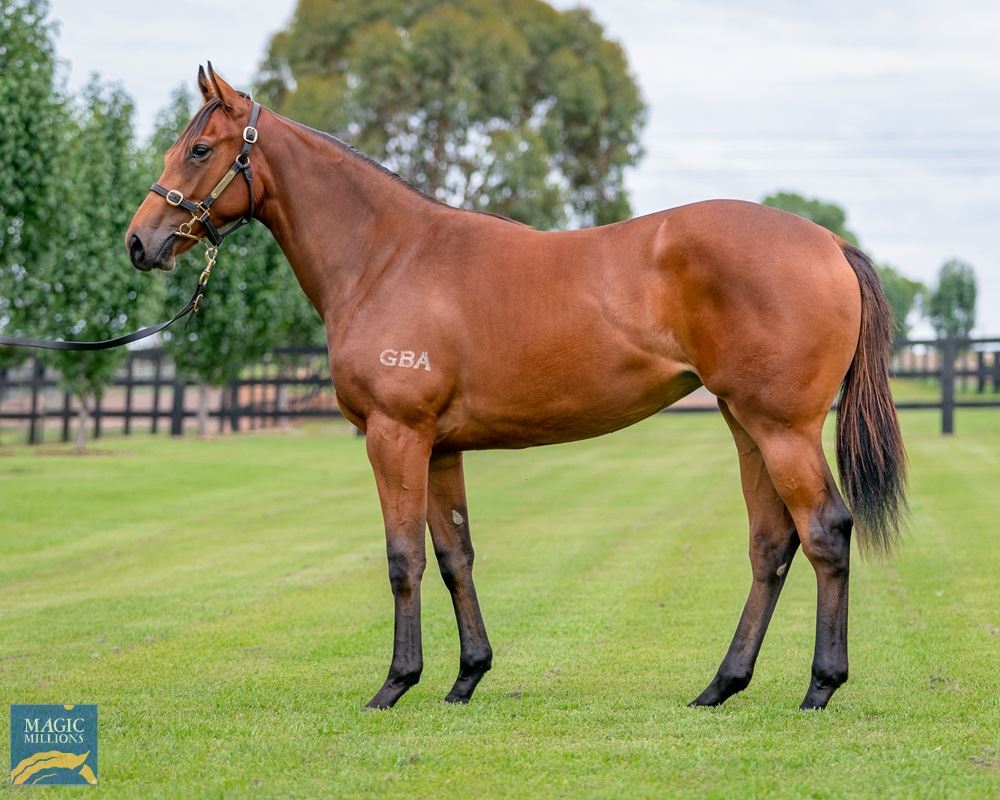Merchant Navy/Thunder Lady (NZ) '19 Merchant Navy/Thunder Lady (NZ) '19