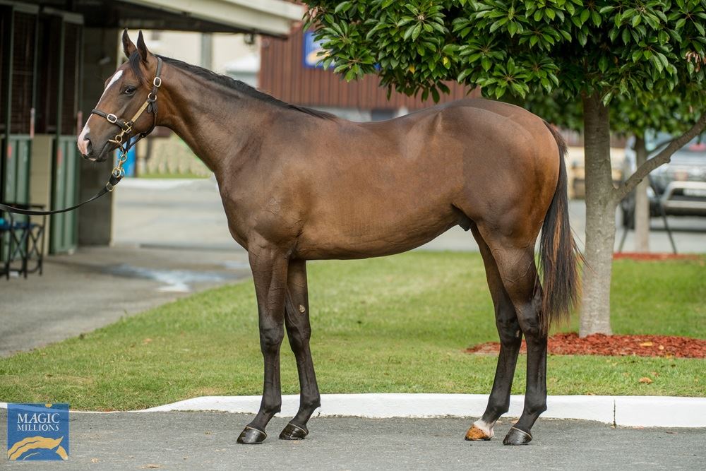 Deep Field/Role Model (NZ) '19 Deep Field/Role Model (NZ) '19