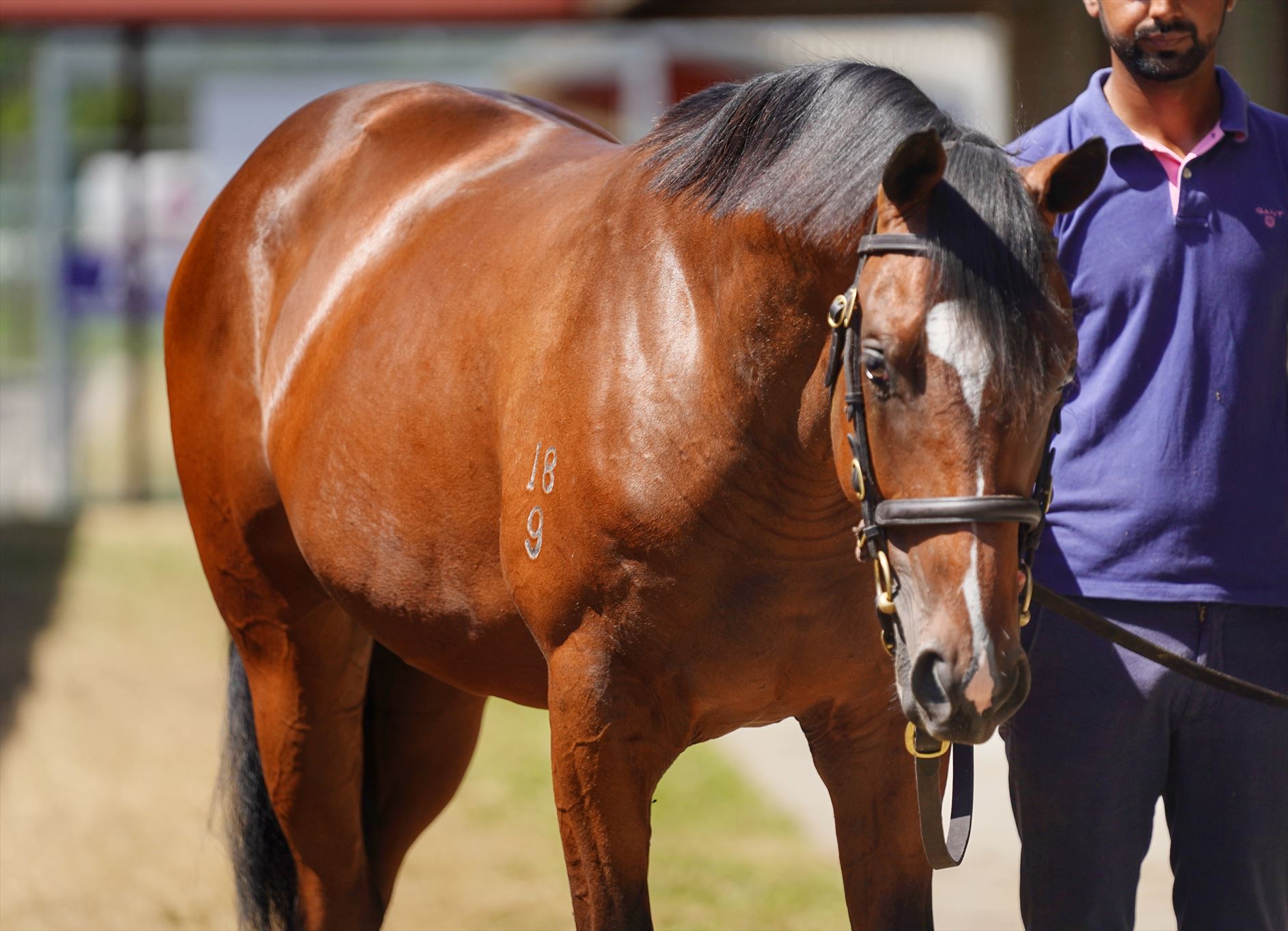 Pierro/Princess Mia '19 Pierro/Princess Mia '19