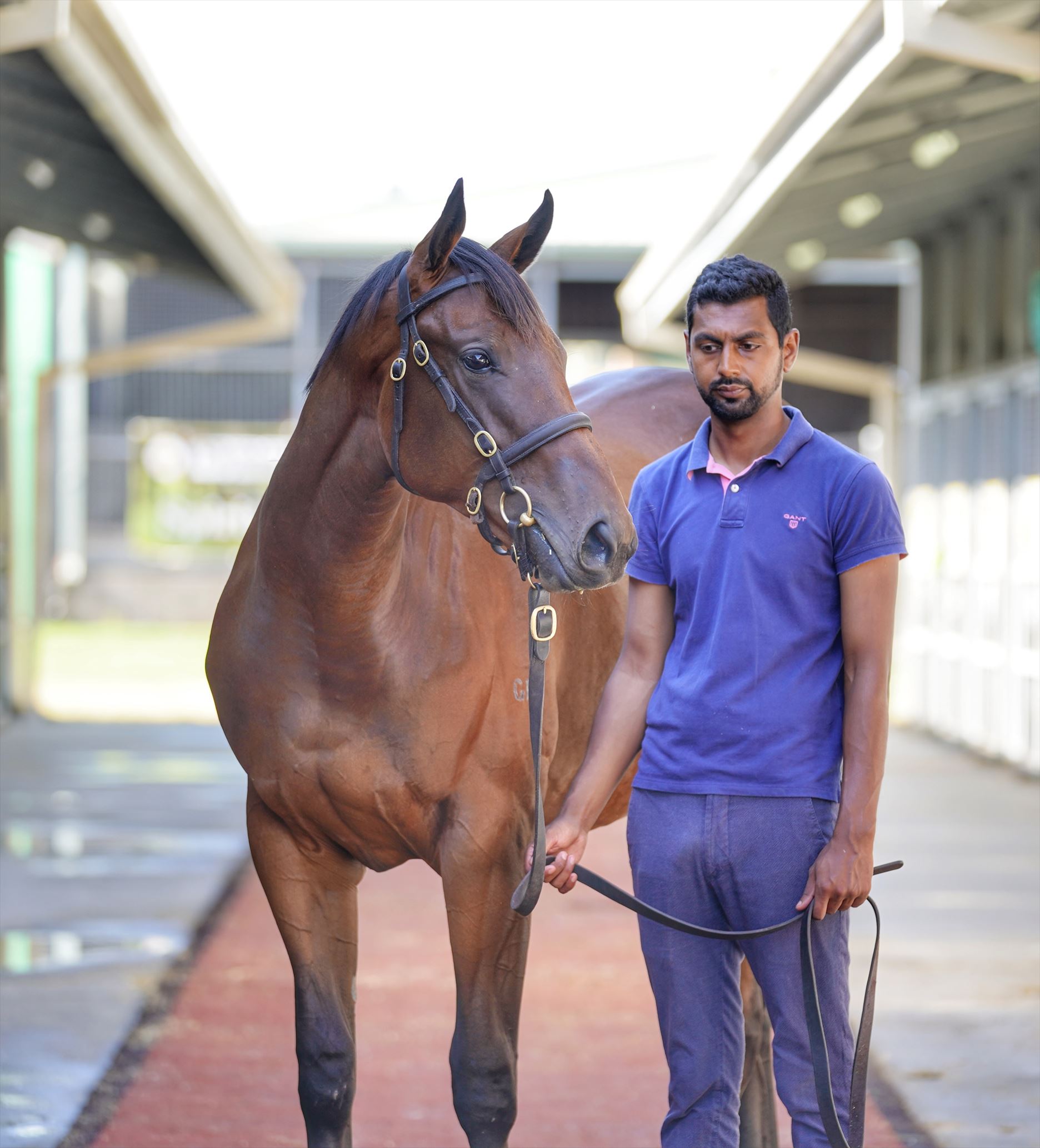 Spirit Of Boom/Sugar Babe (NZ) '19 Spirit Of Boom/Sugar Babe (NZ) '19