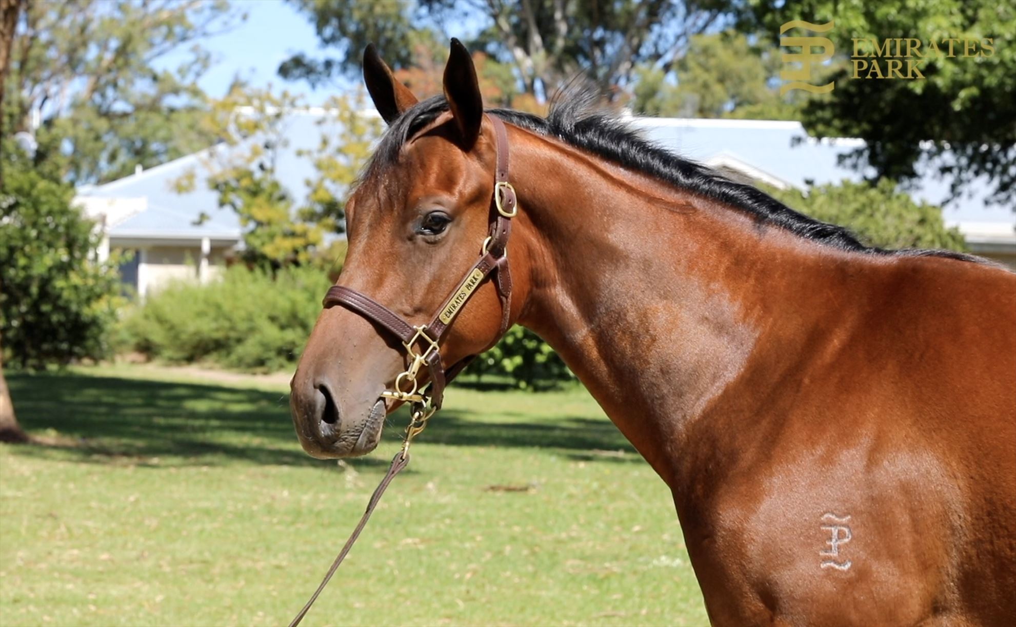 Fastnet Rock/Heredera '19 Fastnet Rock/Heredera '19