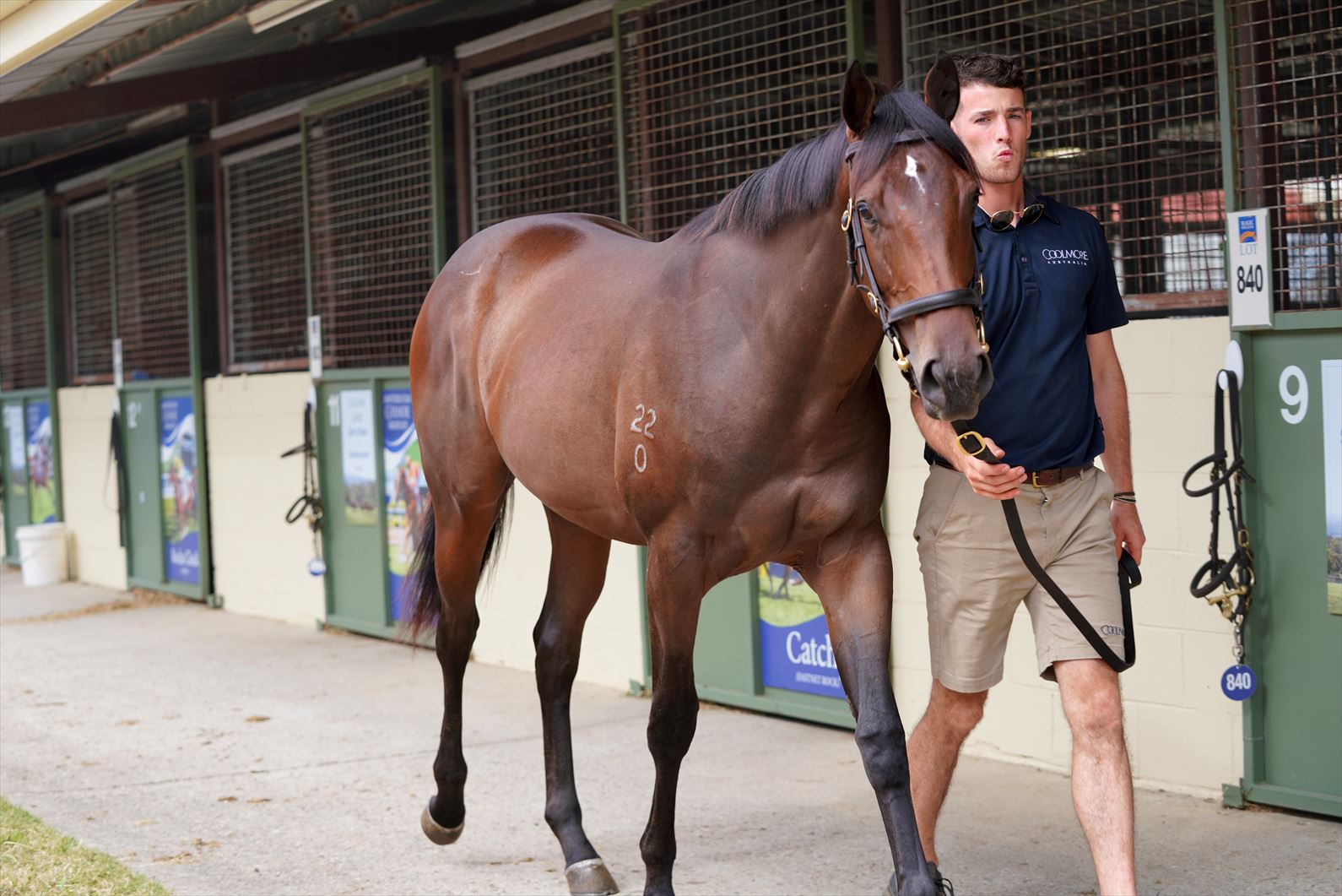 Pierro/Santuzza (NZ) '20 Pierro/Santuzza (NZ) '20