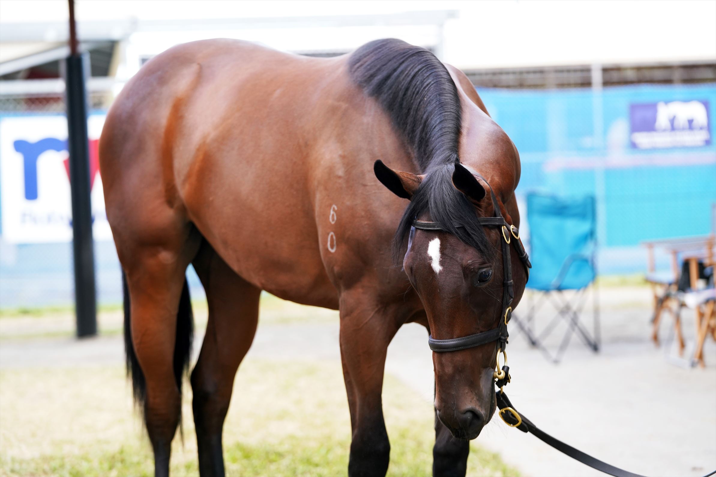 Exceed And Excel/Serena Bay '20 Exceed And Excel/Serena Bay '20