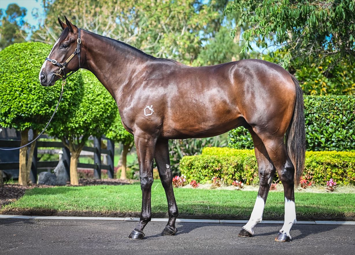 Pierro/Yesterjoy '20 Pierro/Yesterjoy '20