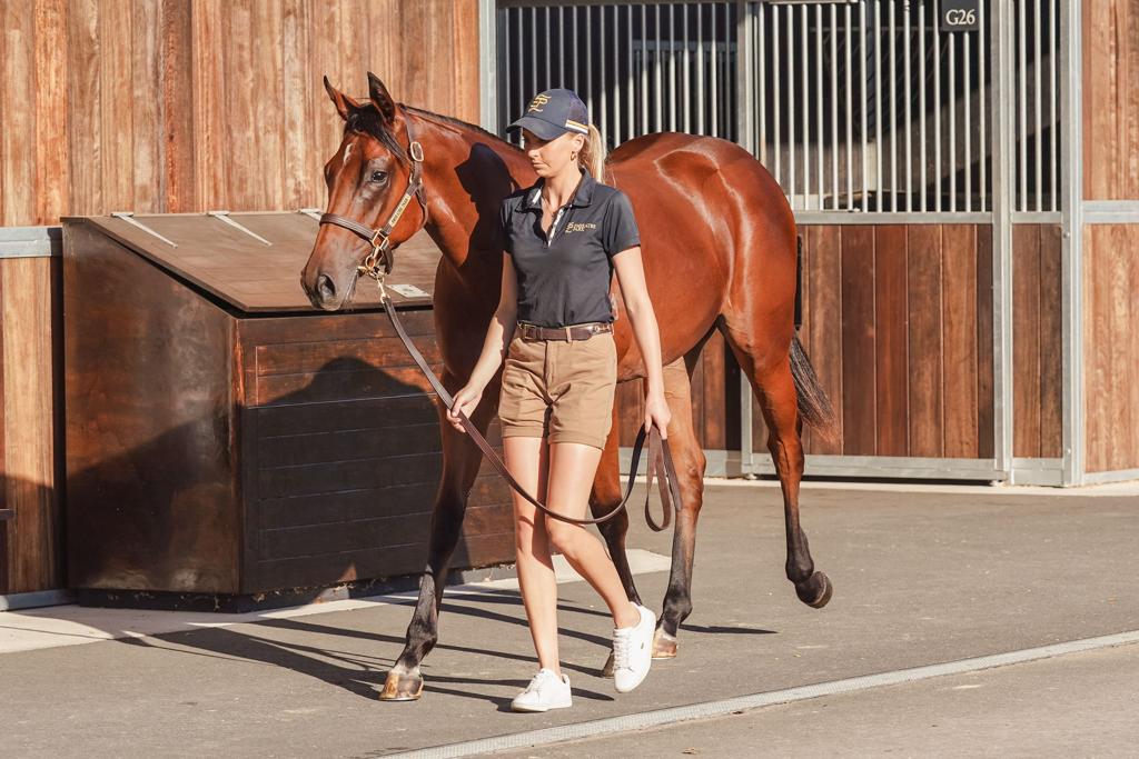 Exceed And Excel/Dynamic Lips (IRE) '20 Exceed And Excel/Dynamic Lips (IRE) '20