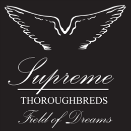 Supreme Thoroughbreds